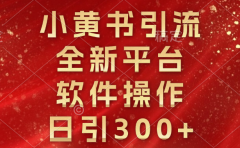 小黄书引流，全新平台，软件操作，日引300+
