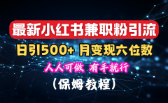 揭秘：小红书素人爆粉，保密教材，日引500+月入6位数