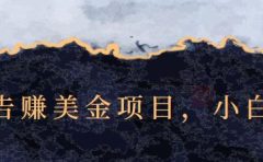 点击广告赚美金项目,小白可操作【视频课程】