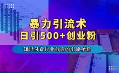 暴力引流术，专业知识付费行业首选的引流秘籍，一天暴流500+创业粉，五个手机流量接不完！