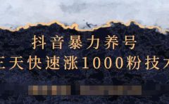 抖音暴力养号，三天快速涨1000粉技术【视频课程】