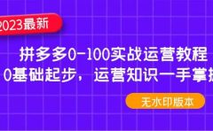 2023拼多多0-100实战运营教程,0基础起步,运营知识一手掌握(无水印)
