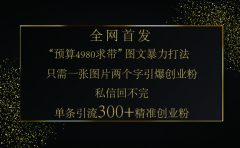 小红书，“预算 4980 带我飞” 的神奇图片引流法，堪称涨粉核武器！只需一张图，就能单条笔记凭借此方法，轻松引流 300 + 精准创业粉！