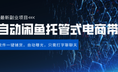 闲鱼全自动电商带货,三年磨一剑,一朝露锋芒,长期稳定项目,单日稳定变现500+