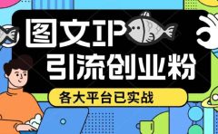 价值1688的ks dy 小红书图文ip引流实操课，日引50-100！各大平台已经实战