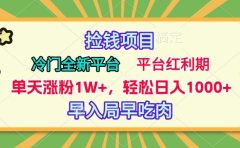 冷门全新捡钱平台，当天涨粉1W+，日入1000+，傻瓜无脑操作