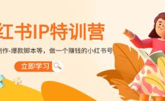 小红书IP特训营
