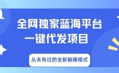 全网独家蓝海平台，一键代发，从未有过的全新躺赚模式