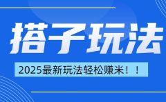 简单轻松赚钱！最新搭子项目玩法让你解放双手躺着赚钱！
