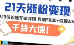 21天精准涨粉变现干货大课：从10位粉丝开始变现 月增5000+