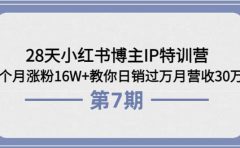 28天小红书博主IP特训营《第6+7期》4个月涨粉16W+教你日销过万月营收30万