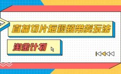 淘金之路第十期实战训练营【直播切片】,小杨哥直播切片短视频带货玩法