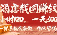 美团酒店截图，你只管截图，一小时 120，一天 500，一部手机在家做