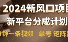 2024风口项目，新平台分成计划，两分钟一条视频，单号轻松上手月入9000+