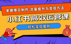 价值980小红书运营操作指南