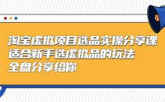 淘宝虚拟项目选品实操分享课，适合新手选虚拟品的玩法 全盘分享给你