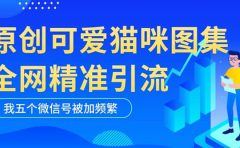 黑科技纯原创可爱猫咪图片，全网精准引流，实操5个VX号被加频繁