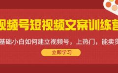 视频号短视频文案训练营：0基础小白如何建立视频号，上热门，能卖货！