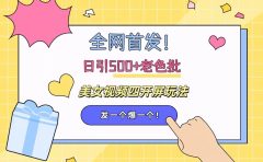 全网首发！日引500+老色批 美女视频四开屏玩法！发一个爆一个！