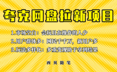此项目外面卖398保姆级拆解夸克网盘拉新玩法，助力新朋友快速上手