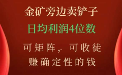 金矿旁边卖铲子，赚确定性的钱，可矩阵，可收徒，日均利润4位数不是梦