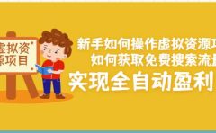 新手如何操作虚拟资源项目：如何获取免费搜索流量，实现全自动盈利！