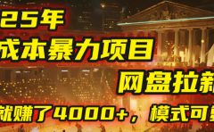 2025年,一个“0成本”的暴力项目:靠“网盘拉新”,有人一天就赚了4000+,模式可复制!
