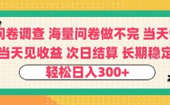 问卷调查 一手资源海量问卷做不完 次日结算 可全职可兼职 长效稳定 当天做当天见收益 轻松日入300+