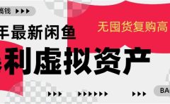 24年最新闲鱼暴利虚拟资产，无囤货复购高轻松日赚1000+，小白当日出单，快速变现
