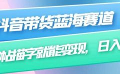 抖音带货蓝海赛道，无需真人出镜，字帖描字就能变现，日入上千（附带全套教程）