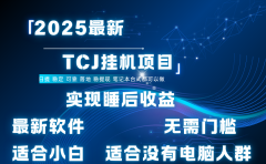最新海外TCJ无门槛美金项目可矩阵放大操作 单日可达400+日提