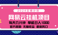 2024最新网易云云梯计划项目，每天只需操作几分钟！