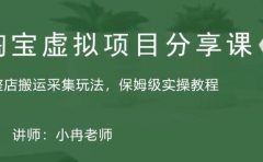 淘宝虚拟整店搬运采集玩法分享课:整店搬运采集玩法,保姆级实操教程