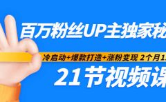 百万粉丝UP主独家秘诀:冷启动+爆款打造+涨粉变现2个月12W粉(21节视频课)