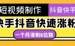 短视频油管动画-快手抖音快速涨粉：一个月粉丝突破6位数 轻松实现经济自由