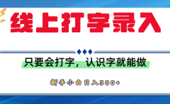 简单线上打字录入，用手机或者电脑就能操作，会识字就能玩，新人小白日入300+