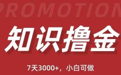 抖音知识撸金项目：执行力强当天见收益(教程+资料)