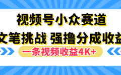 视频号小众赛道，文笔挑战，一条视频收益4K+