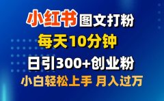 2月小红书图文打粉，每天10分钟，日引300+创业粉，小白轻松月入过万