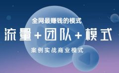 全网最赚钱的模式《流量+团队+模式》案例实战商业模式