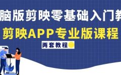 电脑版剪映零基础入门教程+剪映APP专业版课程（两套教程）