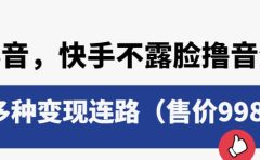 抖音，快手不露脸撸音浪项目，多种变现连路（售价998）