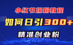 小红书爆粉教程，如何日引300+创业粉，快速实现精准变现！