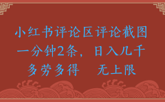 小红书评论区评论截图一分钟2条，日入几千，无上限，多劳多得