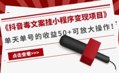 《抖音毒文案挂小程序变现项目》