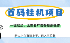 首码挂机项目，一键启动，无需看广告等复杂操作，新手小白日入三位数