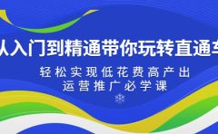 从入门到精通带你玩转直通车：轻松实现低花费高产出，35节运营推广必学课