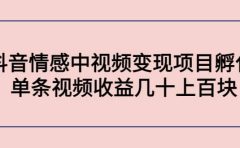 抖音情感中视频变现项目孵化