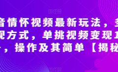 抖音情怀视频最新玩法，多种变现方式，单挑视频变现1000+，操作及其简单【揭秘】
