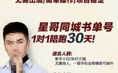 星哥同城教育书单号课程,无需出境简单操作项目稳定